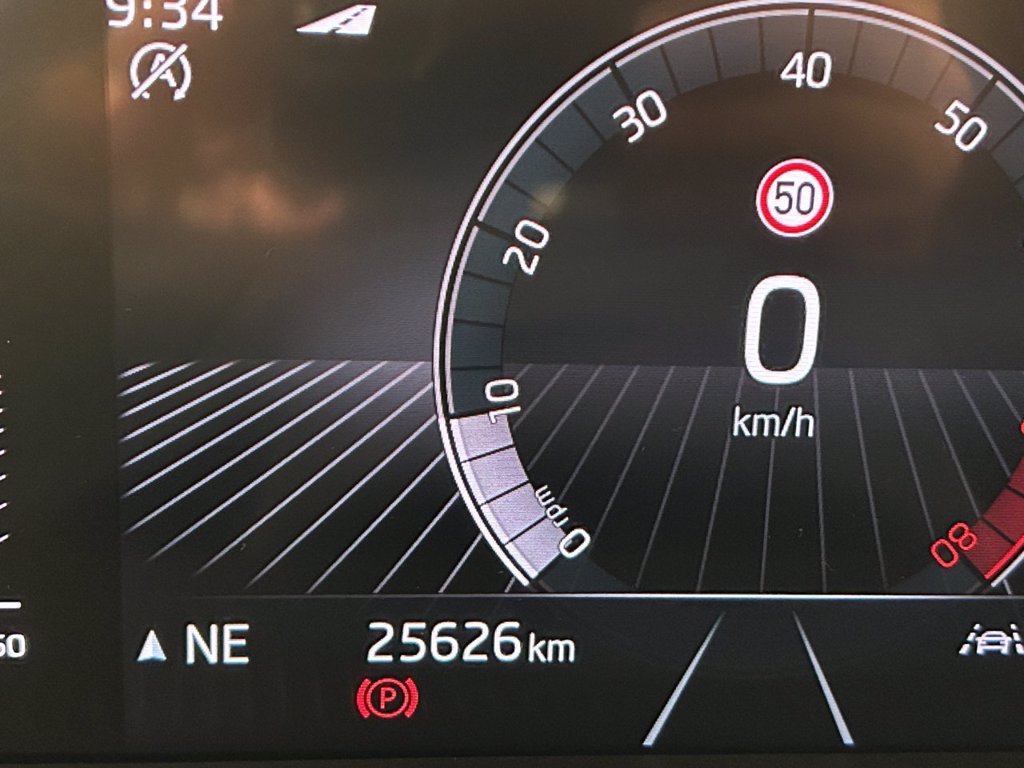 SKODA Fabia 1.0 tsi evo style 95cv