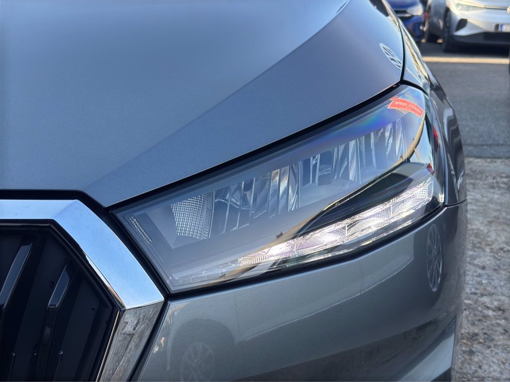 SKODA Fabia 1.0 mpi evo young edition 80cv