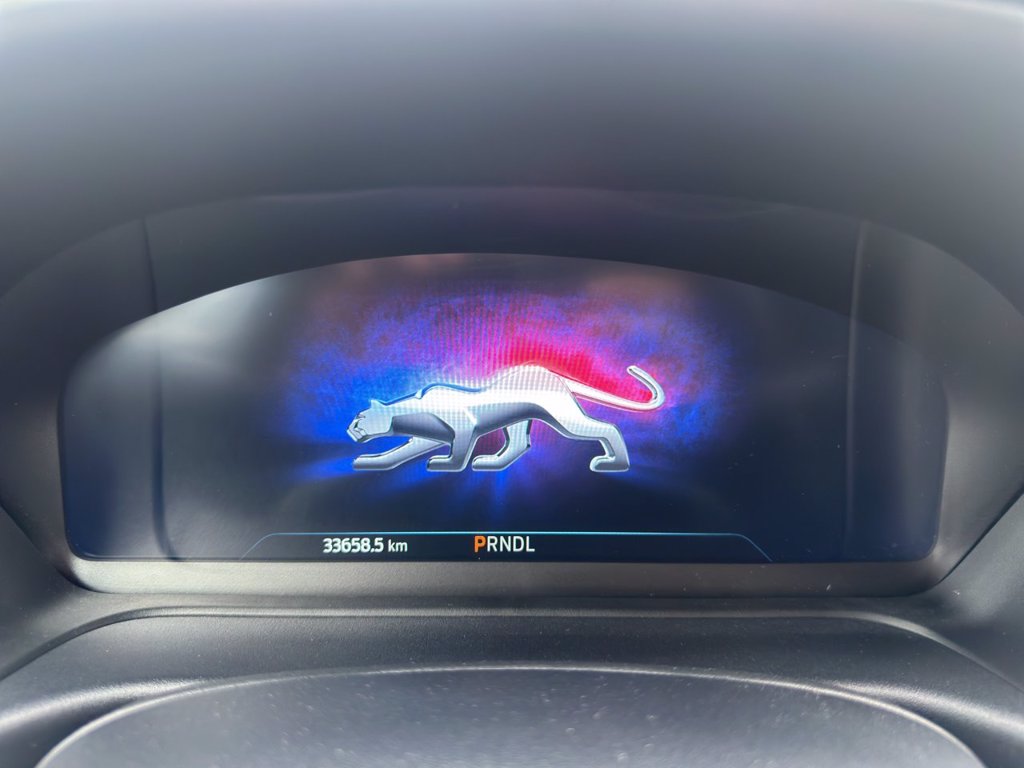 FORD Puma 1.0 ecoboost h st-line x s&s 125cv auto