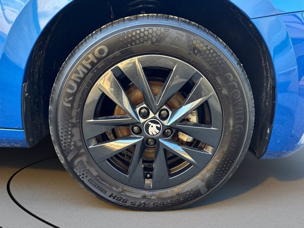 SKODA Fabia 1.0 tsi young edition 95cv