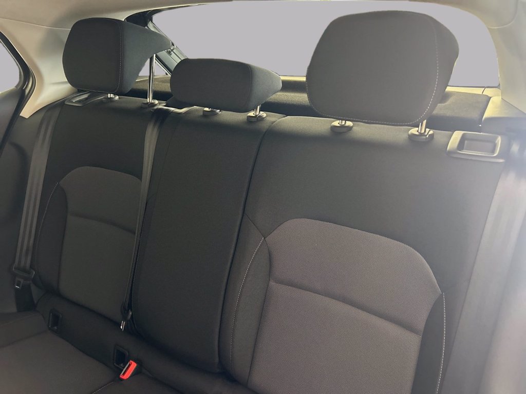 SKODA Fabia 1.0 tsi young edition 95cv