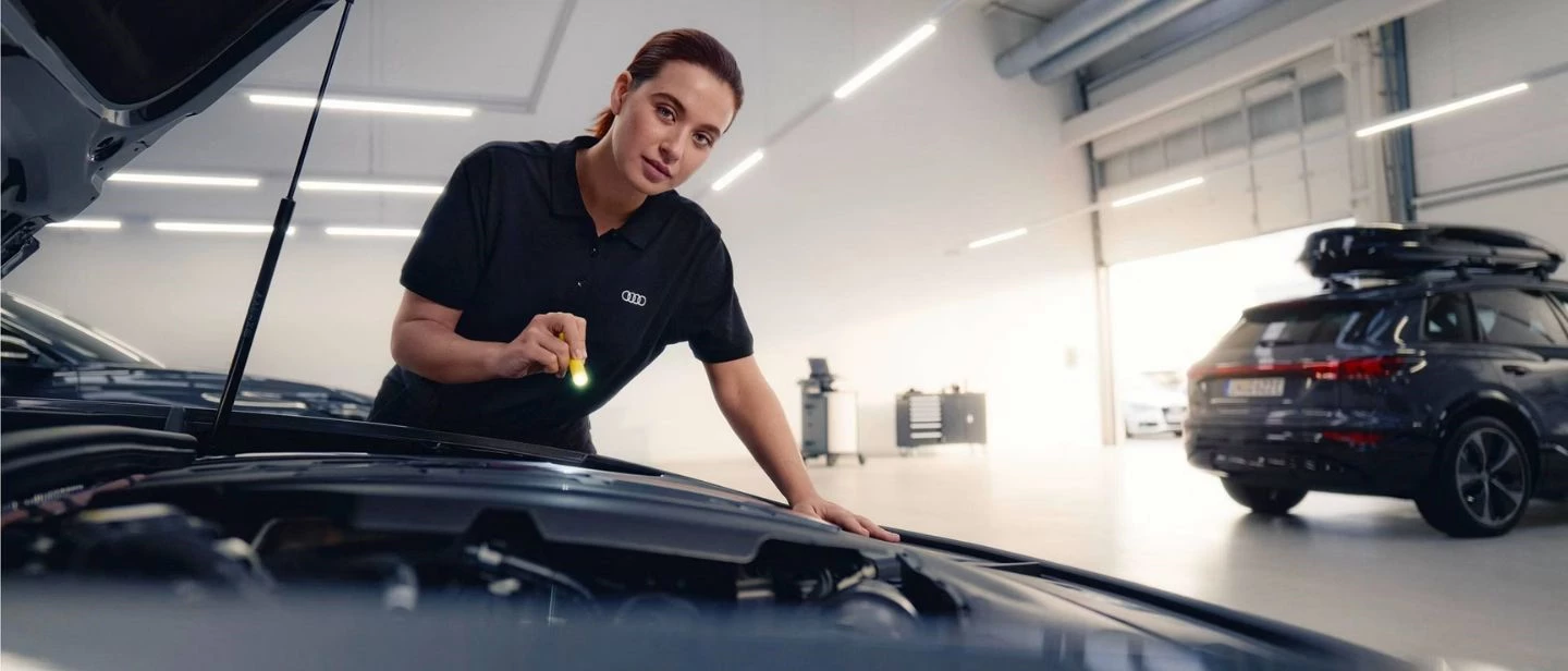 Revisione Audi Service Dettaglio