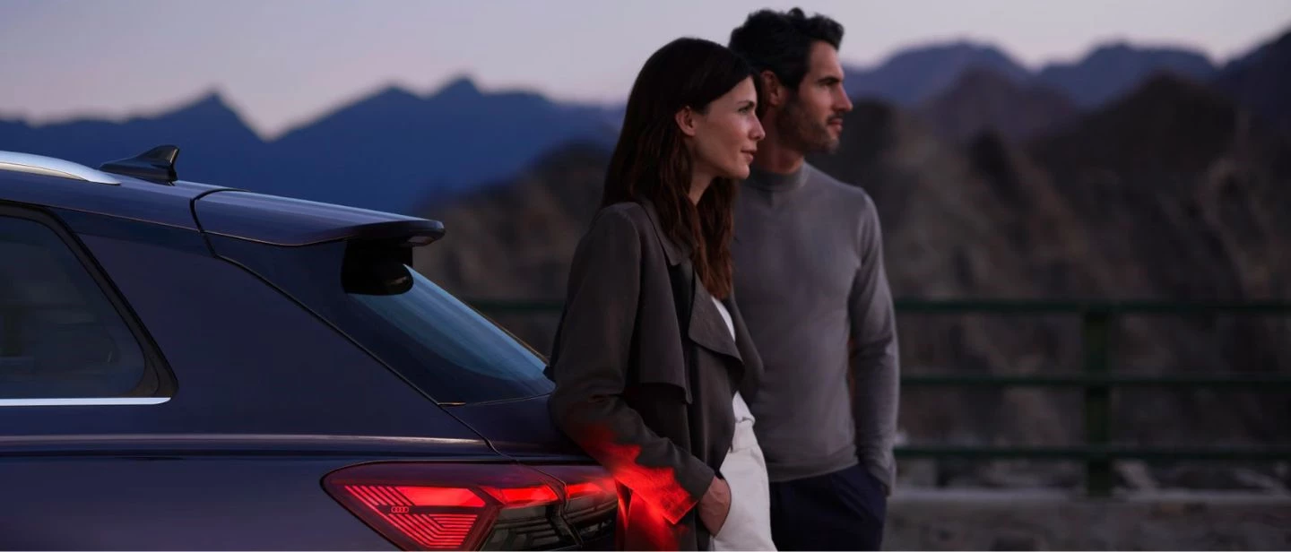 Audi Quality Service Dettaglio