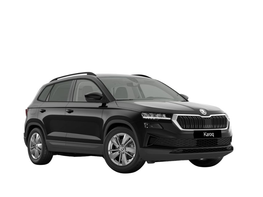 Skoda Karoq Dettaglio