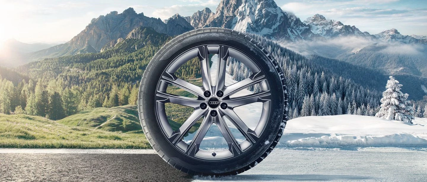 Ruote Complete Invernali Dettaglio (1)