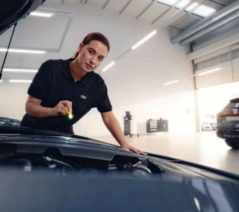 Revisione Audi Service Lista