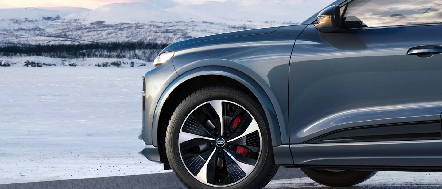 Ruote Complete Invernali Dettaglio