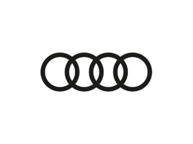 Audi P S N