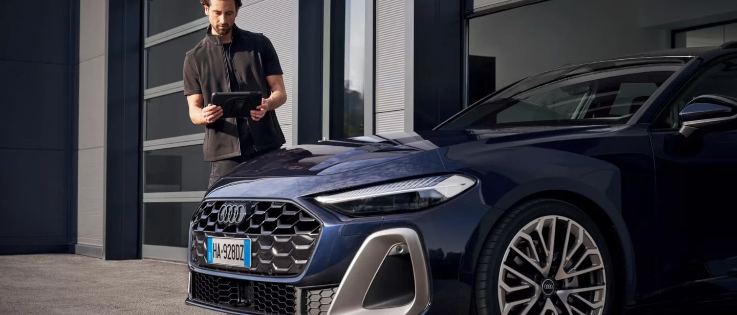 Audi Winter Check Dettaglio