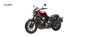 CALIBRO 550X236