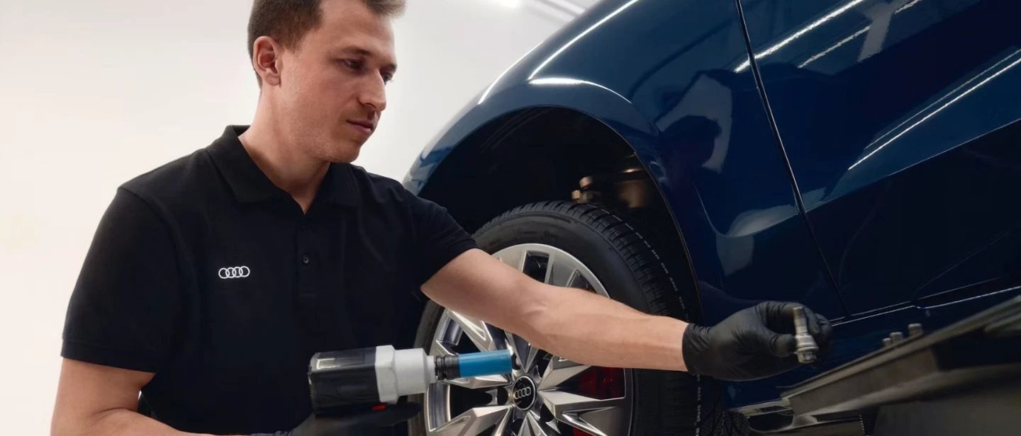 Ricambi Originali Audi Dettaglio