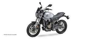 TROFEO 300 ACX Scrambler (550X236)